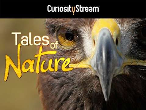 Cuentos de la naturaleza