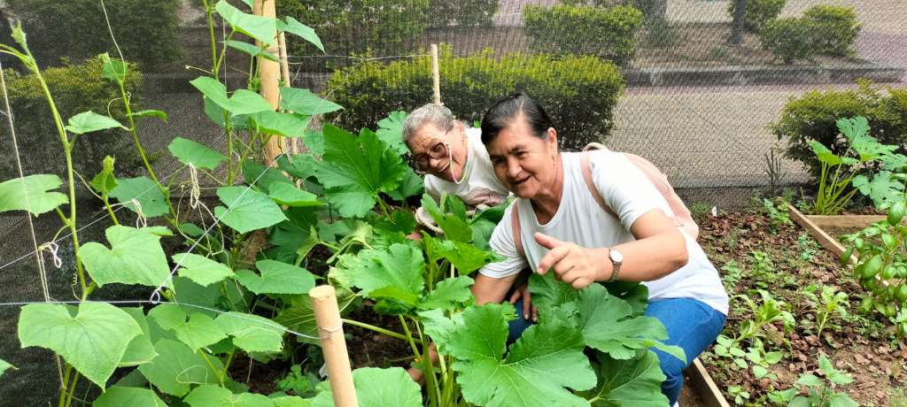 Estas huertas fortalezcan vínculos y encuentren bienestar a través del cultivo y la conexión con la tierra.