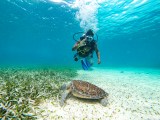 ¿Qué hacer en cinco días en Belice para vivir el viaje soñado con amigos?