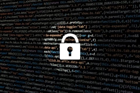 ¿De qué sirve limitar el acceso a internet en un lugar como Cachemira?