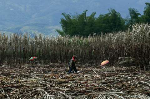 ¿Las tierras en Colombia están en disputa?