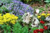 Plantas para el exterior de la casa: estas son algunas opciones