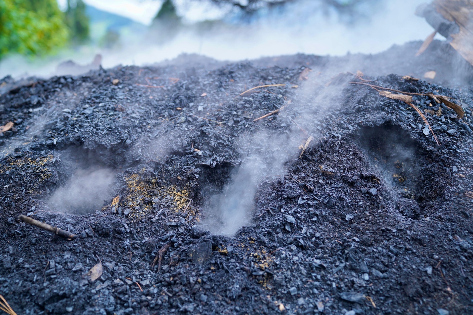Riesgo de incendios forestales.