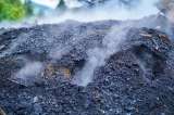 Controlan incendio forestal en el occidente de Bogotá tras intervención de Bomberos