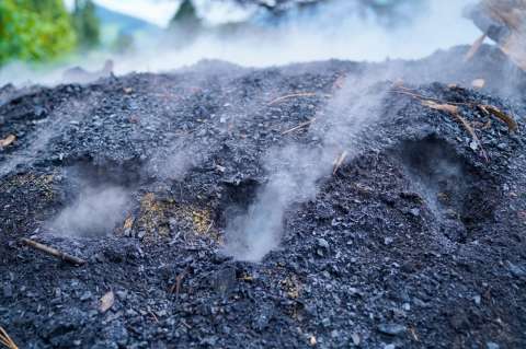 Controlan incendio forestal en el occidente de Bogotá tras intervención de Bomberos