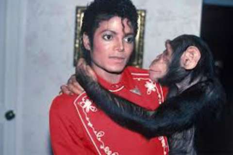 Suerte de algunas de las mascotas de Michael Jackson al cumplirse el sexto aniversario de su muerte
