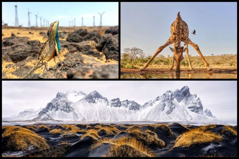 En esta edición se presentaron más de 100,000 de fotógrafos de 196 países. Por primera vez, se incluyó una categoría que capturara el cambio climático.