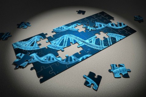 Primera inyección del editor genético CRISPR en sangre para tratar una enfermedad