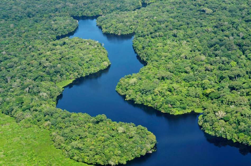 El Amazonas es uno de los lugares más biodiversos del planeta. / Flickr: Neil Palmer - CIAT