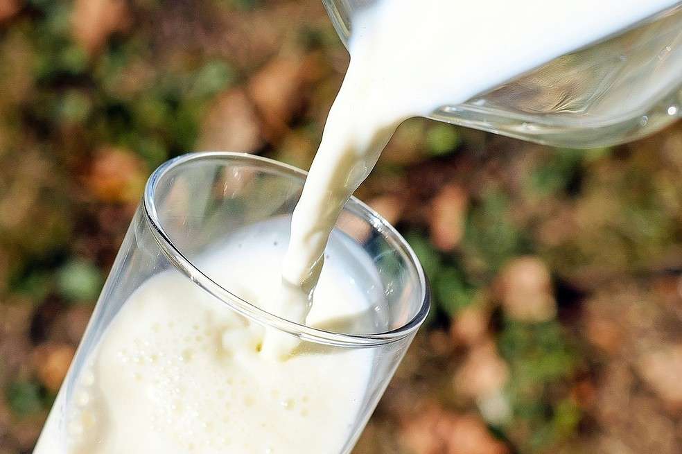 Leche de vaca, lactancia, alergias alimentarias en el bebé