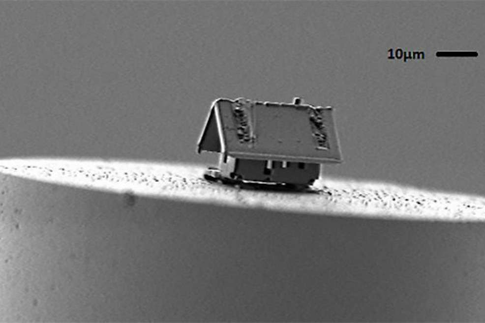 Ancho: 10 micras. Largo: 20 micras. Alto: 15 micras. Estas son las dimensiones de esta microcasa del departamento de nanorrobótica del Instituto FEMTO-ST.

 / AFP.