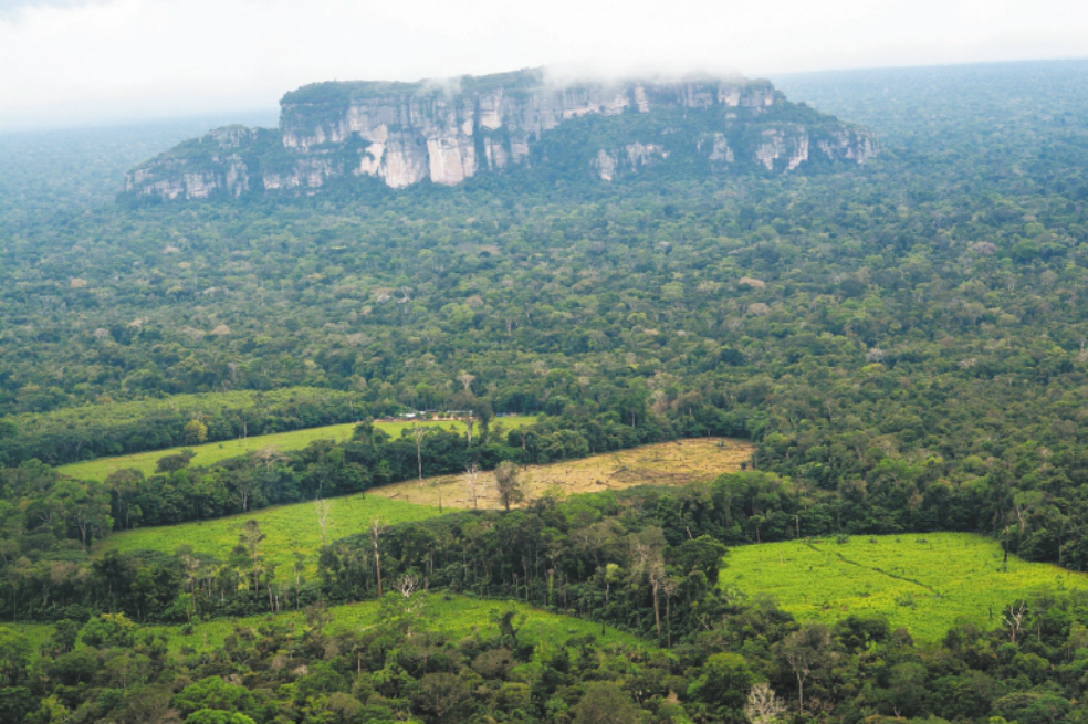 La palabra naturaleza proviene del latín “natura” que significa nacimiento. / Cortesía - FCDS