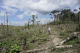 La deforestación en Colombia incrementó tras el Acuerdo de Paz