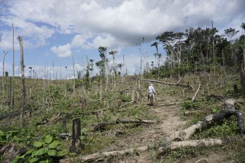 Duque sancionó la ley de delitos ambientales en Colombia ¿Qué implica?