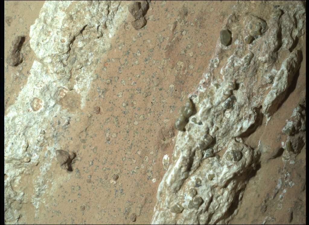 El rover Perseverance de la NASA capturó esta imagen de una roca apodada "Cheyava Falls" el 18 de julio de 2024, el día marciano número 1212, o sol, de la misión.