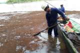 Ocensa dice desconocer causas del derramamiento de crudo en Puerto Boyacá