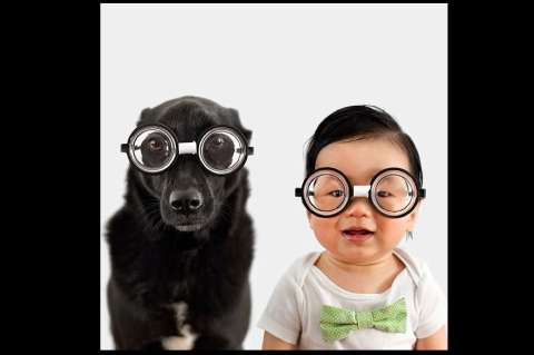 Este creativo y tierno proyecto le está dando la vuelta al mundo