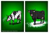 Narcovacas