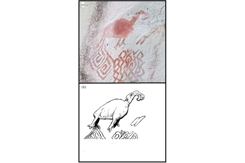 Pintura de 'Macraucheniidae' en La Lindosa y reconstrucción artística de Mike Keesey.