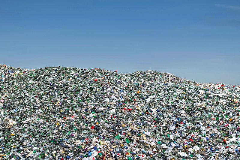 Cinco especies del total de trece bacterias viables identificadas fueron resistentes a antibióticos.