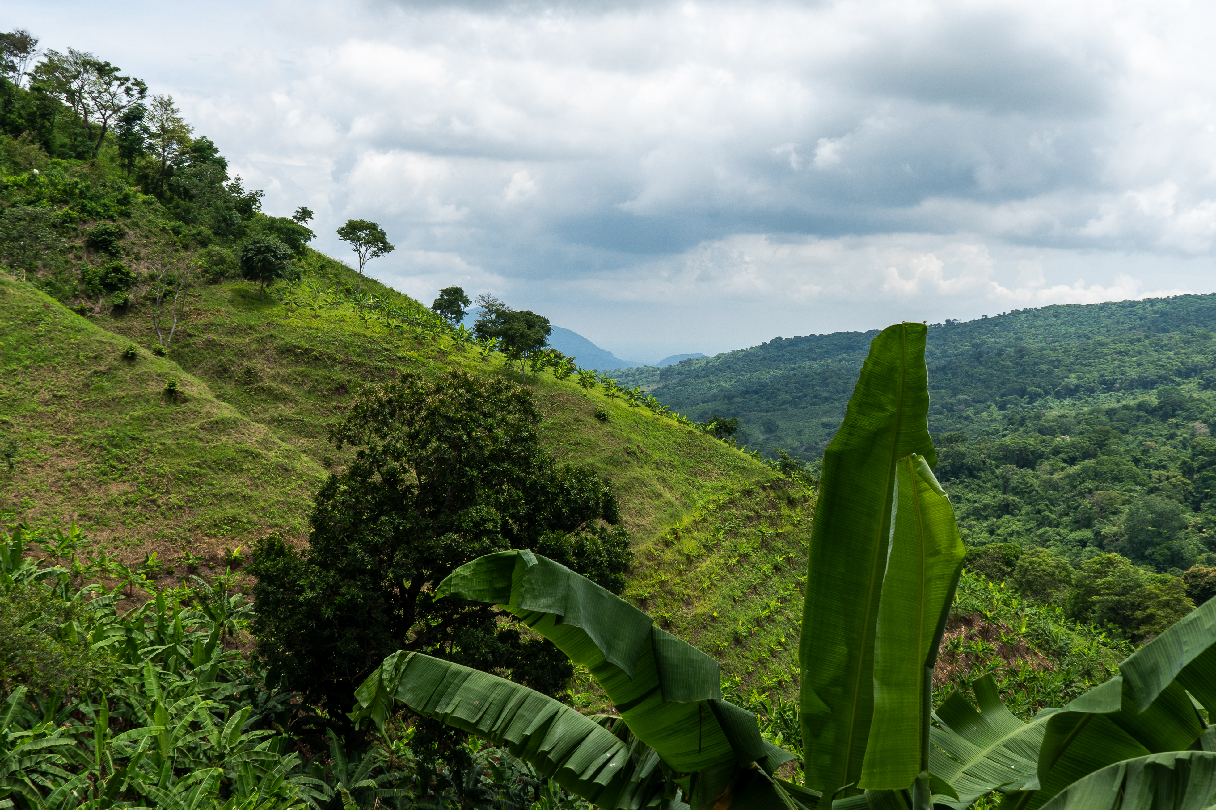 El programa de paz que impulsó más de 200 proyectos agroambientales en Colombia.