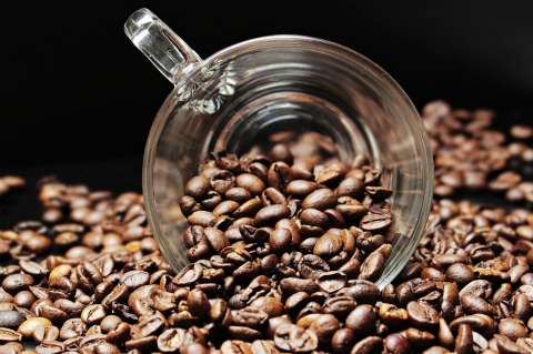 La Universidad Libre, la primera del país en producir café orgánico