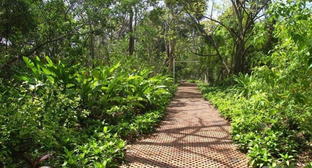 Este jardín alberga una variedad de especies de plantas tropicales, incluyendo especies endémicas de la región. Entre ellas se destacan varias especies de orquídeas y palmas. El jardín también desempeña un papel importante en la conservación y educación ambiental, promoviendo la importancia de preservar la flora local y los ecosistemas de la isla.