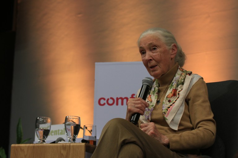 Todos deberíamos ser Jane Goodall