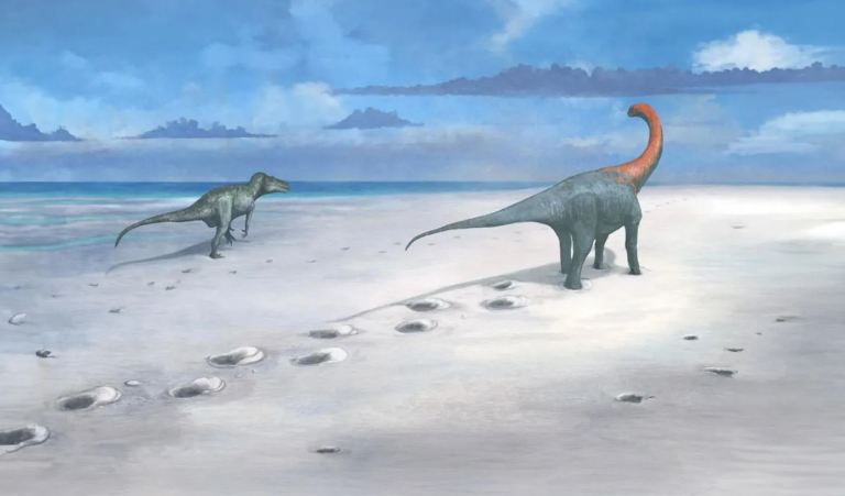 Descubren una enorme “autopista” de huellas de dinosaurios en Reino Unido