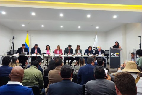 Las revocatorias del CNE: más política que vigilancia electoral (análisis)