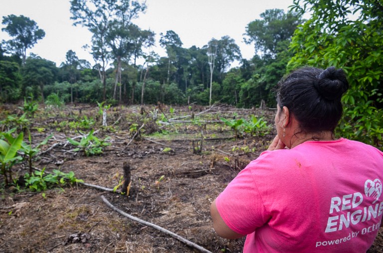 Al sur de Colombia, en el Núcleo de Desarrollo Forestal y de la Biodiversidad de Paraíso Amazónico, en Caquetá, las familias enfrentaban dificultades para acceder a leña y diversificar su alimentación por desconocimiento del potencial de los cultivos locales. Esto las llevaba a talar árboles valiosos para el ecosistema, generando mayor presión sobre el bosque y poniendo en riesgo su equilibrio. Además, el desconocimiento sobre el uso adecuado del suelo conducía a prácticas agrícolas poco sostenibles.