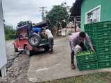 Gobernación inicia plan de rescate para los agricultores afectados por el invierno