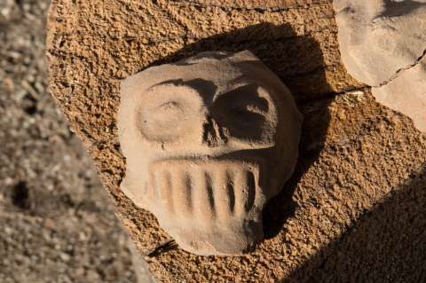 Hallan ocho cuerpos en fosas clandestinas en el estado mexicano de Puebla