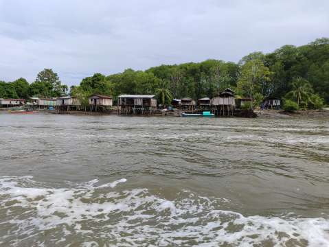 Los manglares del Pacífico piden un espacio en las negociaciones de la COP16