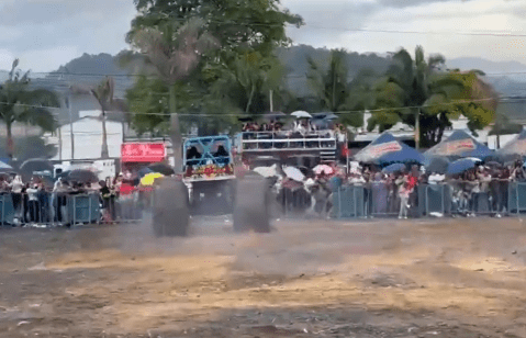 En video quedó grabado accidente de camioneta Monster Truck en Popayán; hay varios heridos