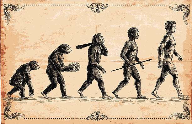 Homo Sapiens