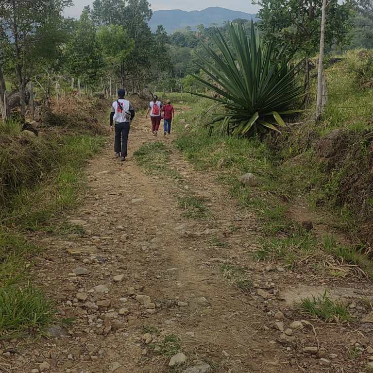 Lo que se sabe del brote de fiebre amarilla en Tolima