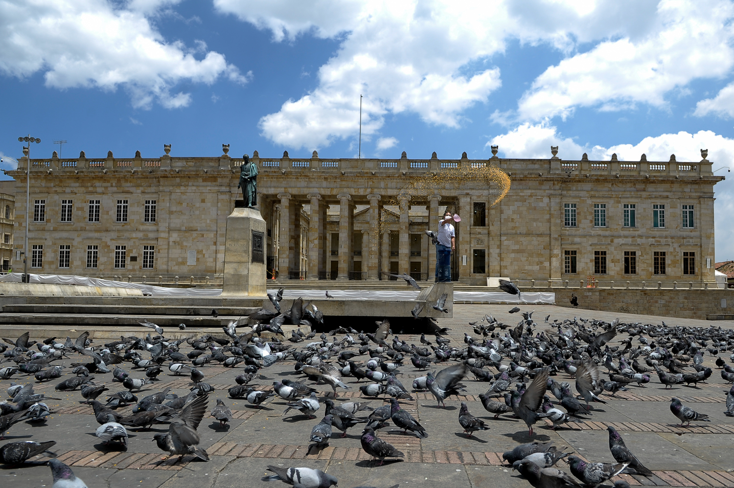 Las palomas se abalanzan de lado a lado dependiendo de dónde cae el maíz. Este lugar emblemático de la capital está completamente vacío, aunque es fin de semana y la soledad es un escenario atípico de este lugar. Para las palomas ya no están los niños que las persiguen ni los turistas que las alimentan, sólo son ellas y este bogotano que hoy cumple 53 días visitándolas a diario.