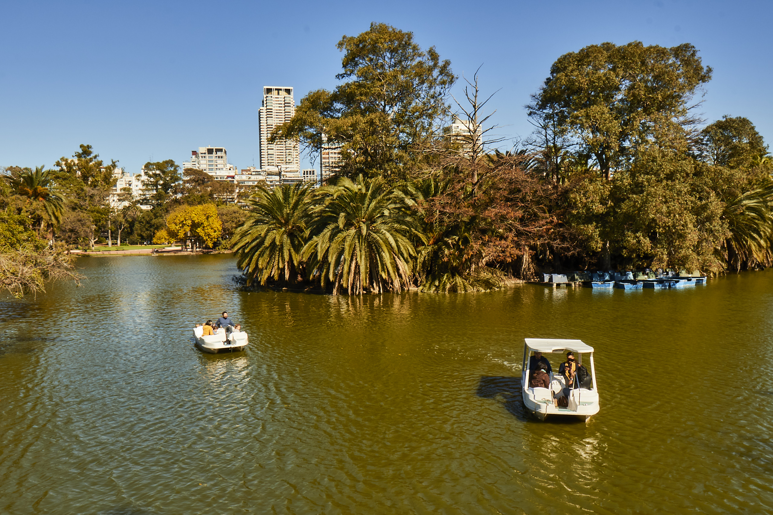El Lago Regatas, el Lago del Rosedal, el Lago del Planetario y el Lago Victoria Ocampo fueron construidos como parte del diseño paisajístico del Parque 3 de febrero, también conocido como “los bosques de Palermo”.