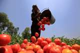 Alimentación, un derecho universal en el que todos participamos