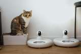 ¿Puede la tecnología reemplazar el cuidado humano de las mascotas?