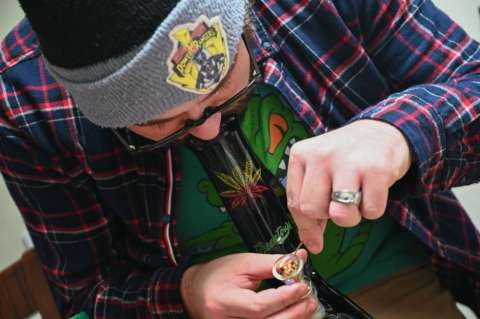 Cannabis de uso adulto: análisis del proyecto en materia de seguridad y política