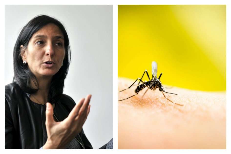 La bogotana Sandra Besada Lombana es la directora médica del programa de Sanofi Pasteur Dengue para Latinoamérica.