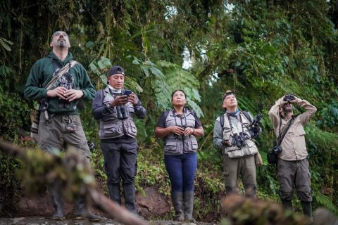Así custodia el pueblo Awá uno de los rincones más biodiversos de Colombia