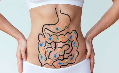 Diez consejos clave para tener un intestino sano y feliz, según una experta