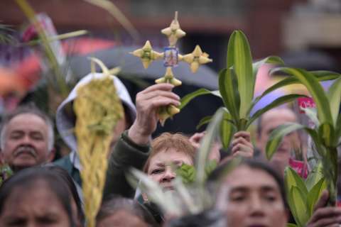 Sancionarán a quienes usen palma de cera durante Semana Santa, en Antioquia