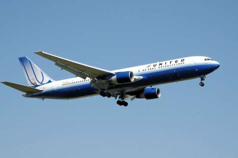 Muere un conejo gigante en un vuelo de United Airlines