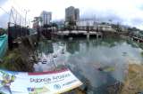 Ibagué, a levantarse de entre los escombros