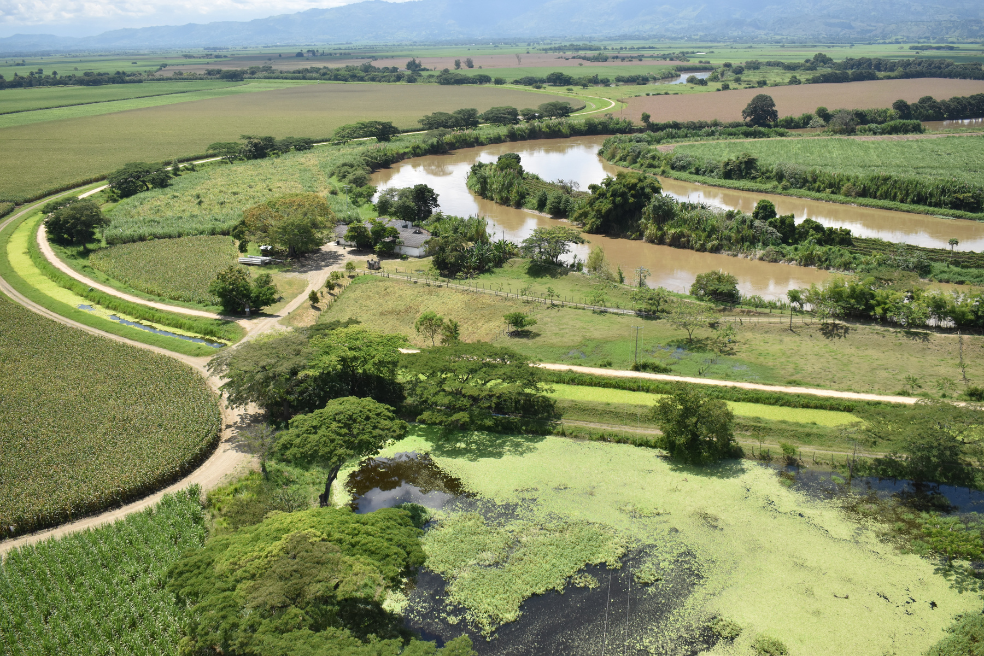 Desde los años 50, el Distrito de Riego RUT presta el doble servicio de protección de inundación del río Cuaca y riego para el sector agrícola del Valle del Cauca.