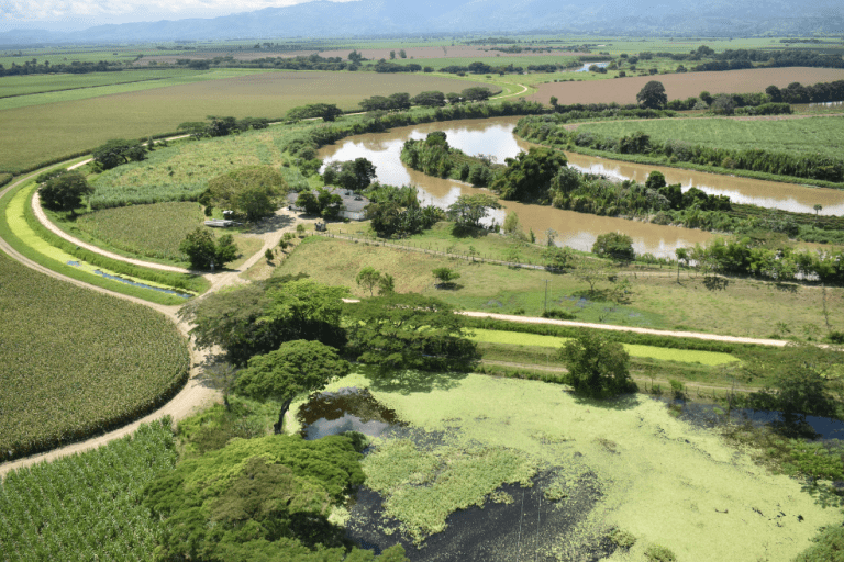 Nueva frontera agrícola nacional: ¿cuántas hectáreas son y qué cambió?